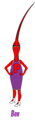 Bev